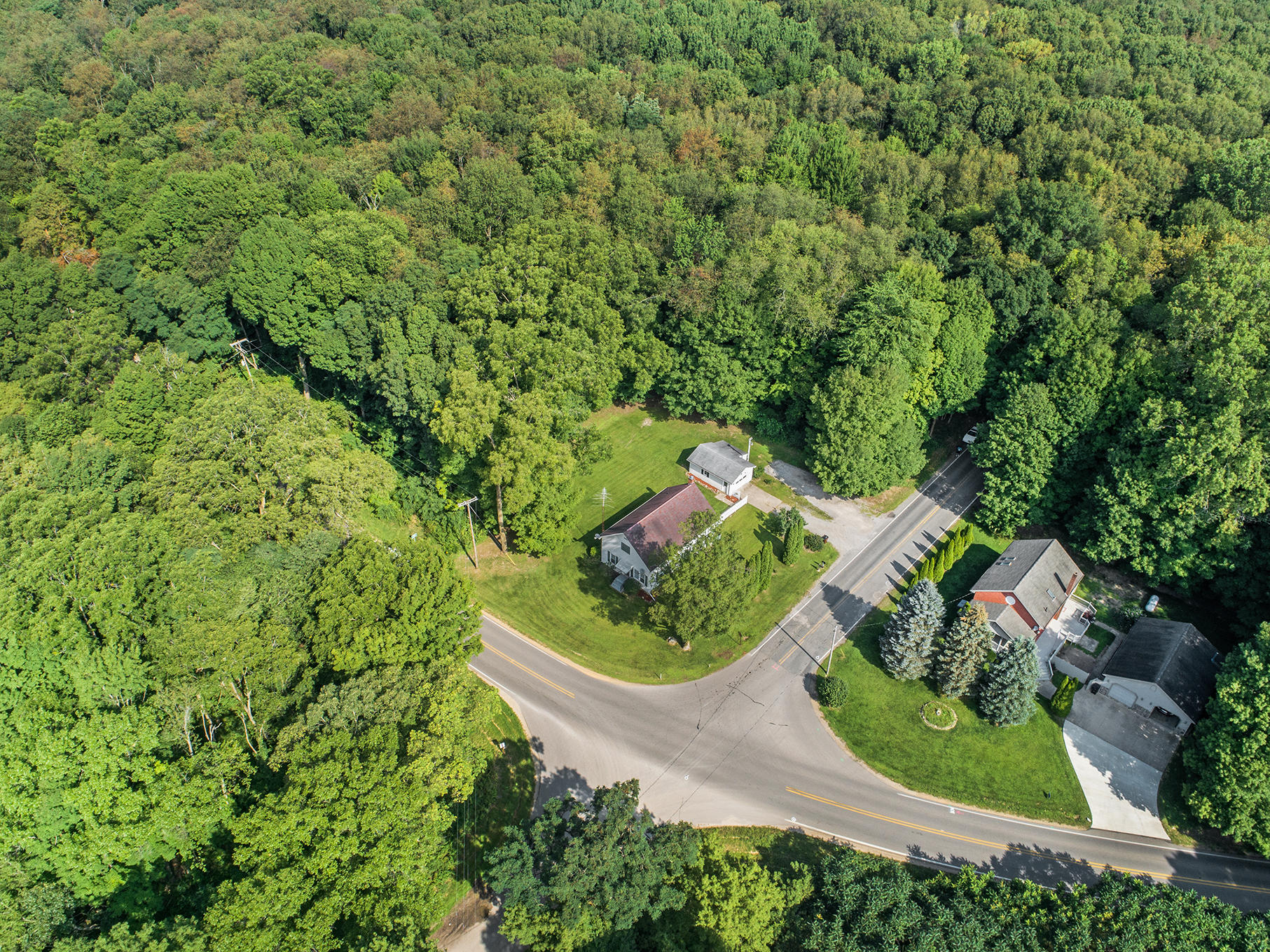10980 Seymour Road Grass Lake, MI 49240 - Photo 23 of 29 DJI_0004