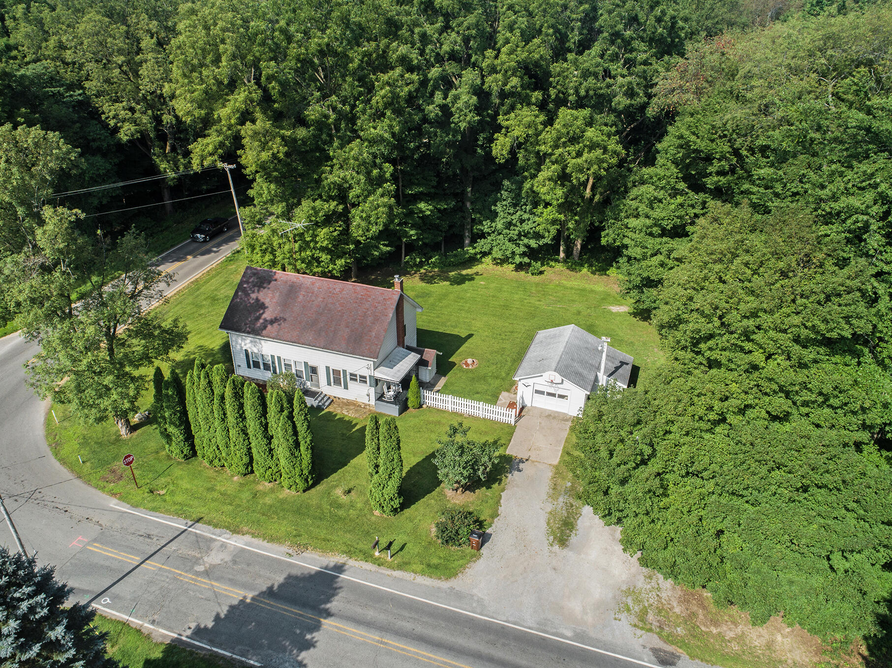 10980 Seymour Road Grass Lake, MI 49240 - Photo 3 of 29 DJI_0001