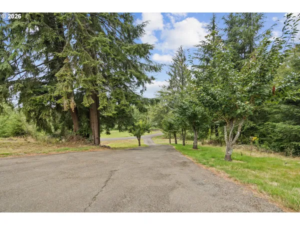 a view of a yard with a tree