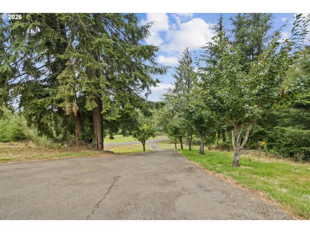 a view of a yard with a tree