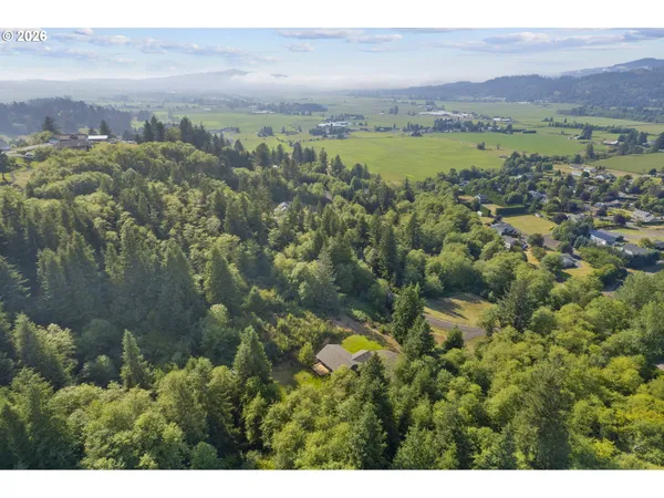 a view of a back yard