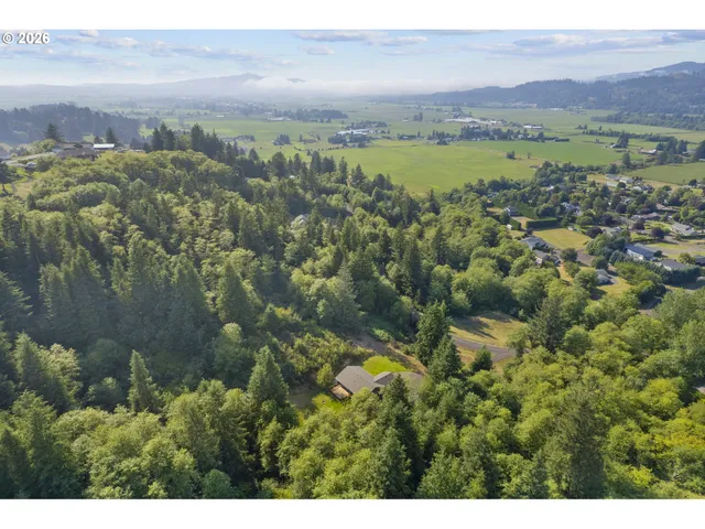 a view of a back yard
