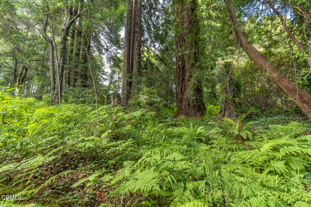325 Nancy Way Fort Bragg, CA 95437 - Photo 36 of 47 DSC09378