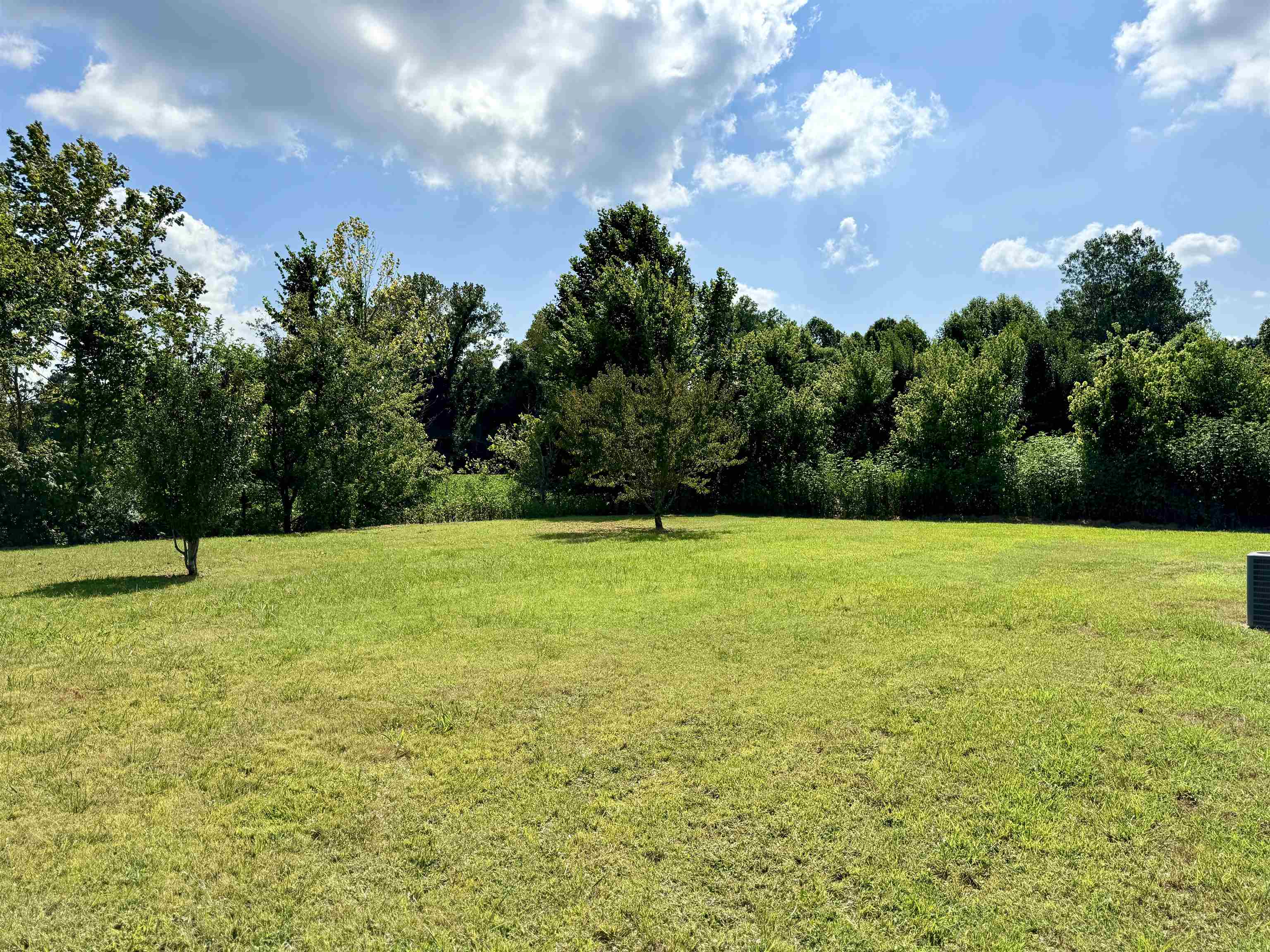 316 Wayne Avenue Ripley, TN 38063 - Photo 5 of 14 Gallery Image 5