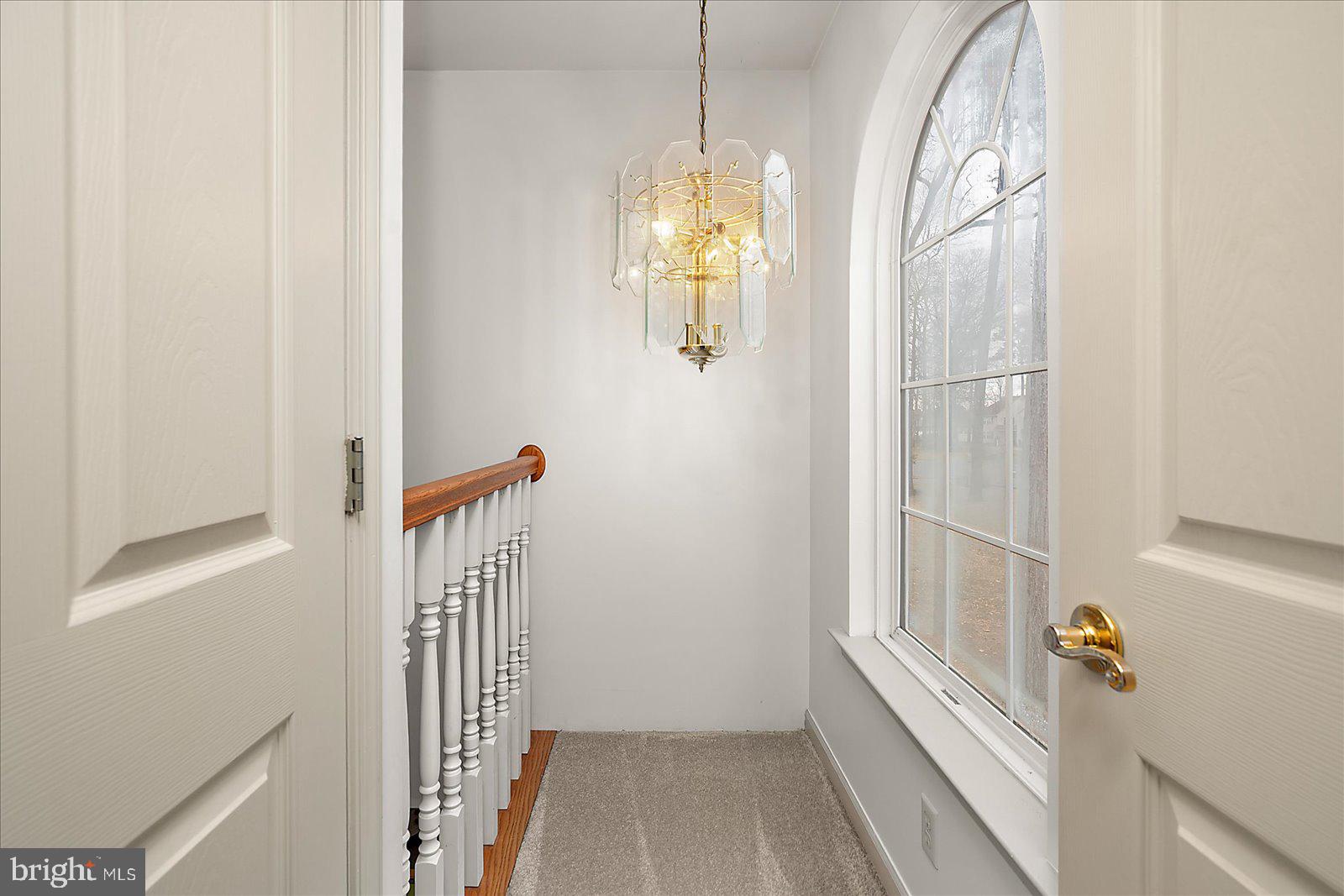 28149 Pathfinder Court Salisbury, MD 21801 - Photo 28 of 57