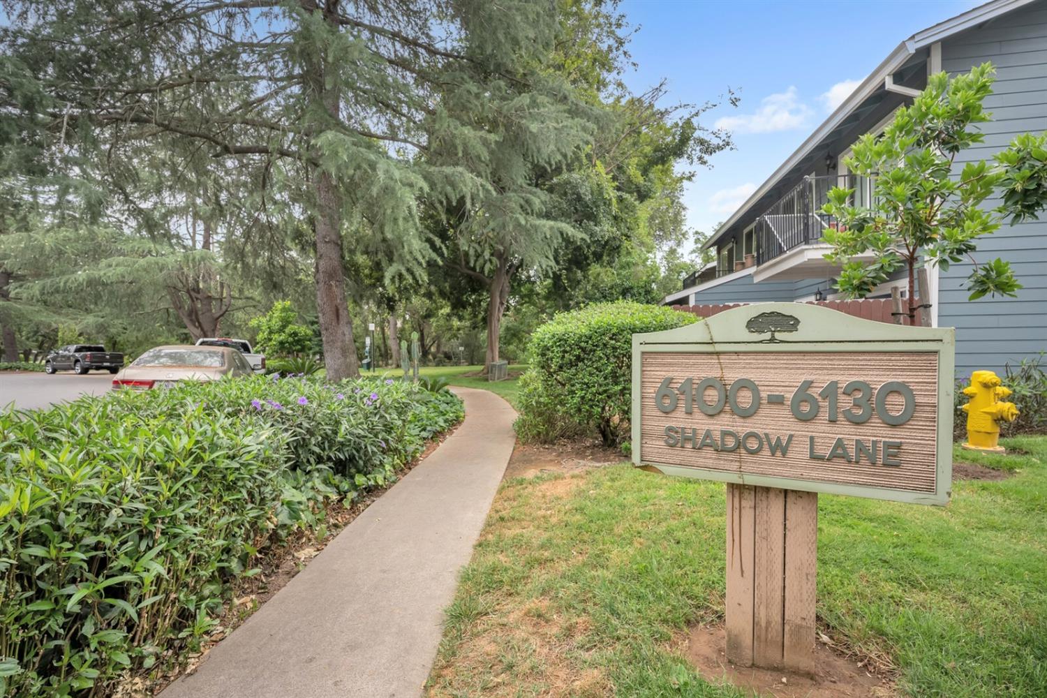 a view of a street sign under a large tree