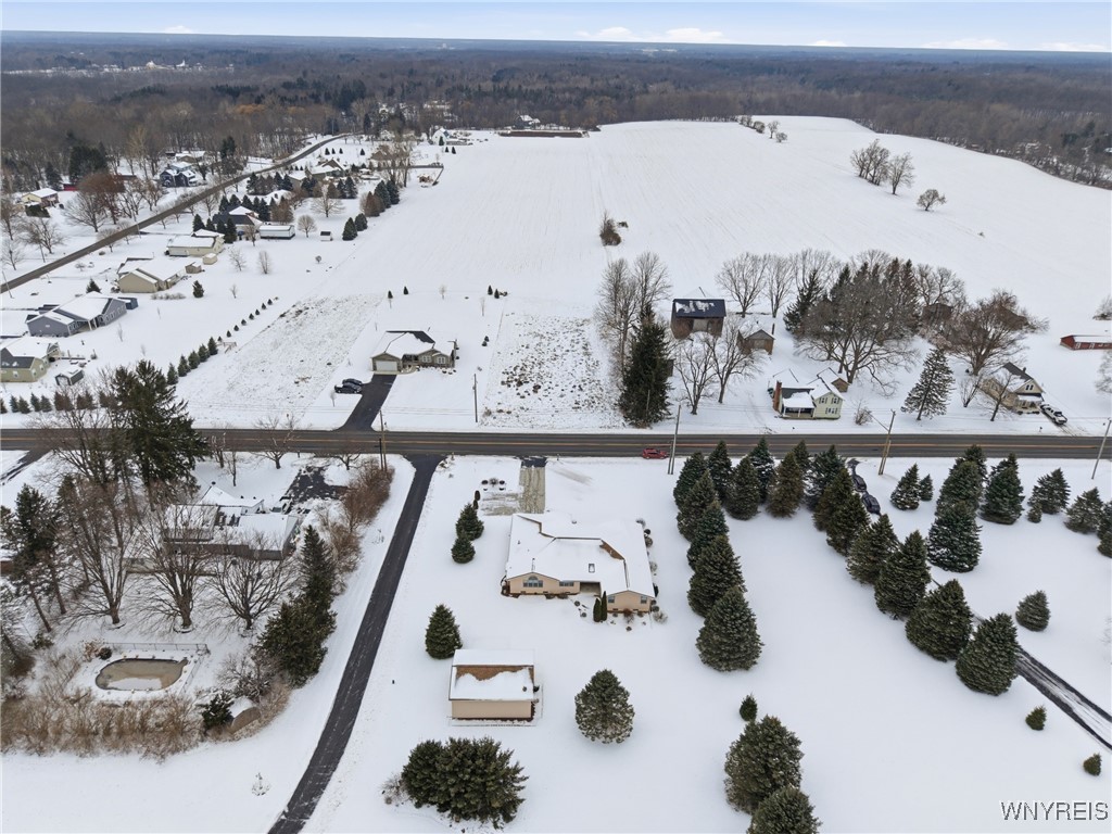 3420 Bullis Road Elma, NY 14059 - Photo 46 of 49