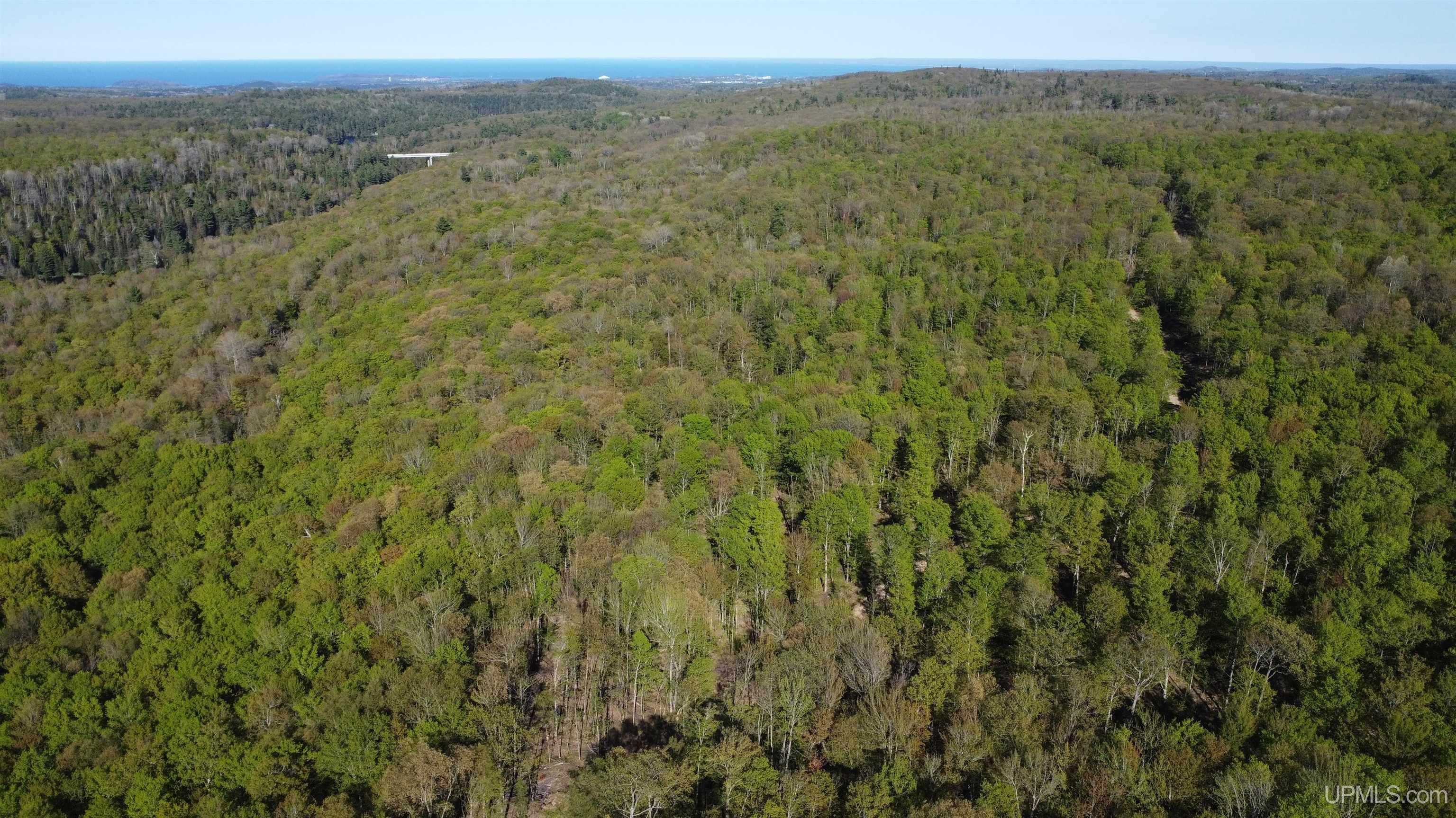 Off Off Hoist Road Negaunee, MI 49866 - Photo 19 of 45