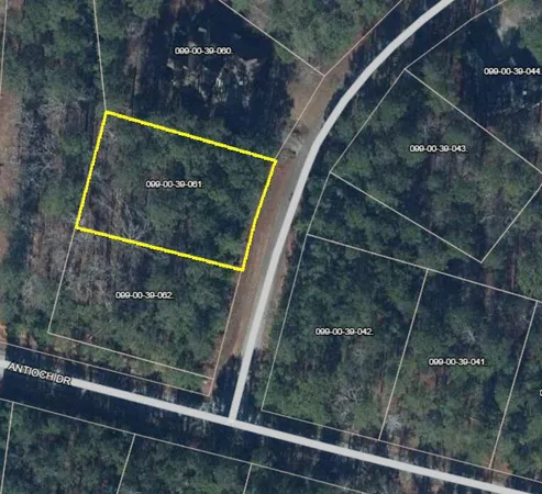 $25,000 | Lot 61 Jeffrey Lane, McCormick, SC 29835