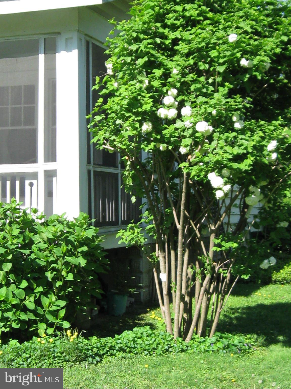 4126 Cadle Creek Road Edgewater, MD 21037 - Photo 12 of 30 Exterior (General)