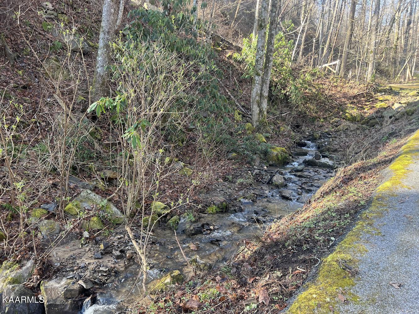 Deep Hollow Road Gatlinburg, TN 37738 - Photo 3 of 3 5EB1152F-2F25-4B35-B150-09D944DBF6E9