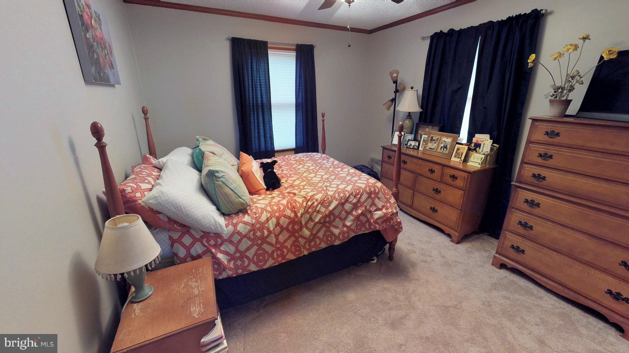 11018 Log Cabin Road Denton, MD 21629 - Photo 17 of 44 Gallery Image 17