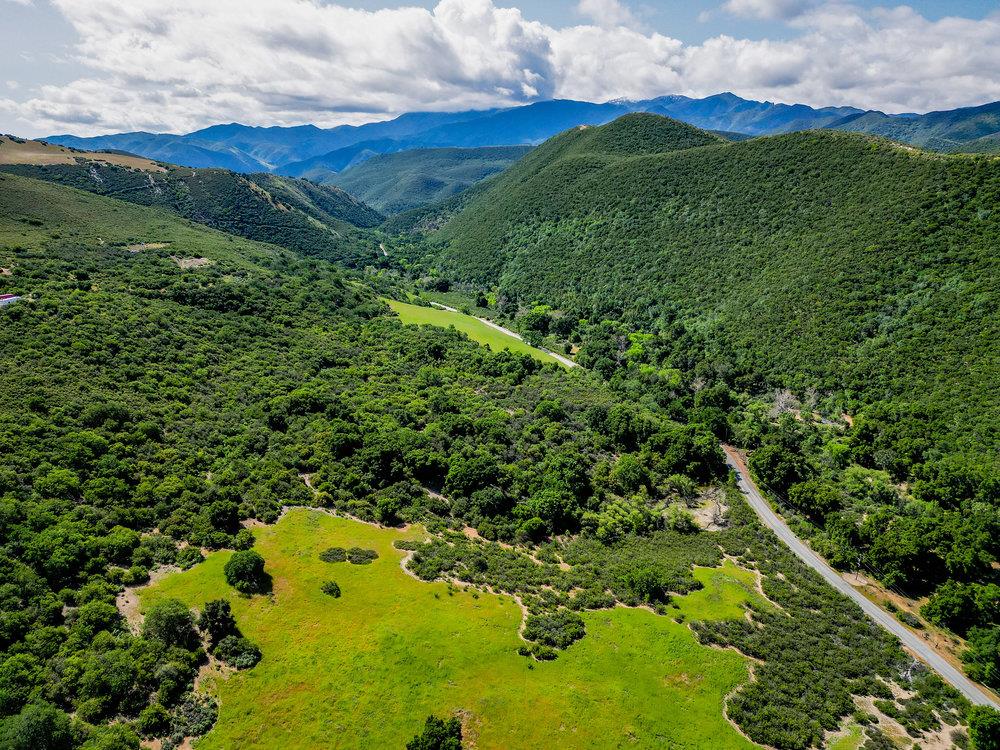 a view of a lush green hillside and houses