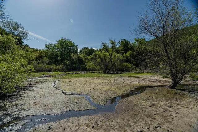 a view of a field with trees in the background