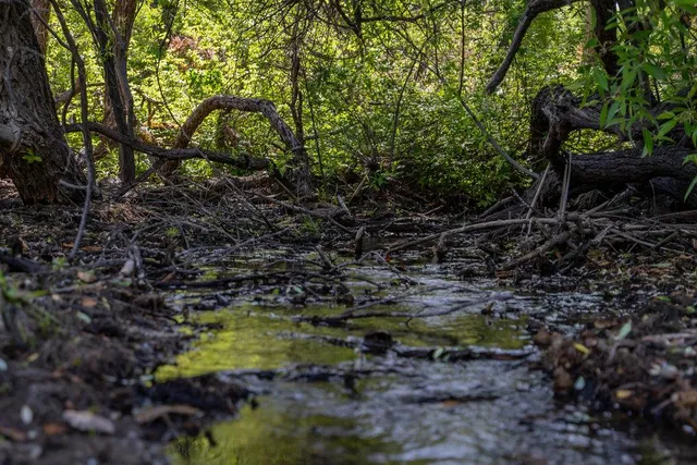 a view of an ocean and beach