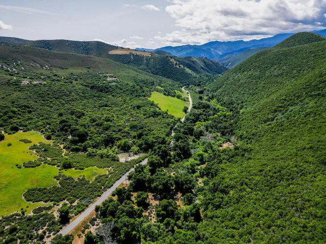 a view of a lush green mountain