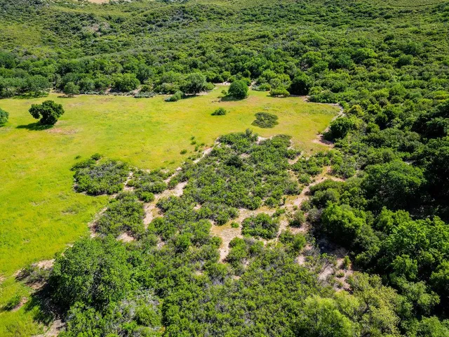 a view of a yard with a house
