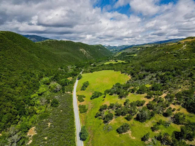 an aerial view of a yard with a tree