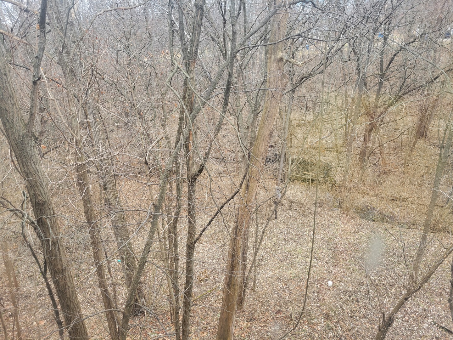 408 East 4th Street Spring Valley, IL 61362 - Photo 25 of 31