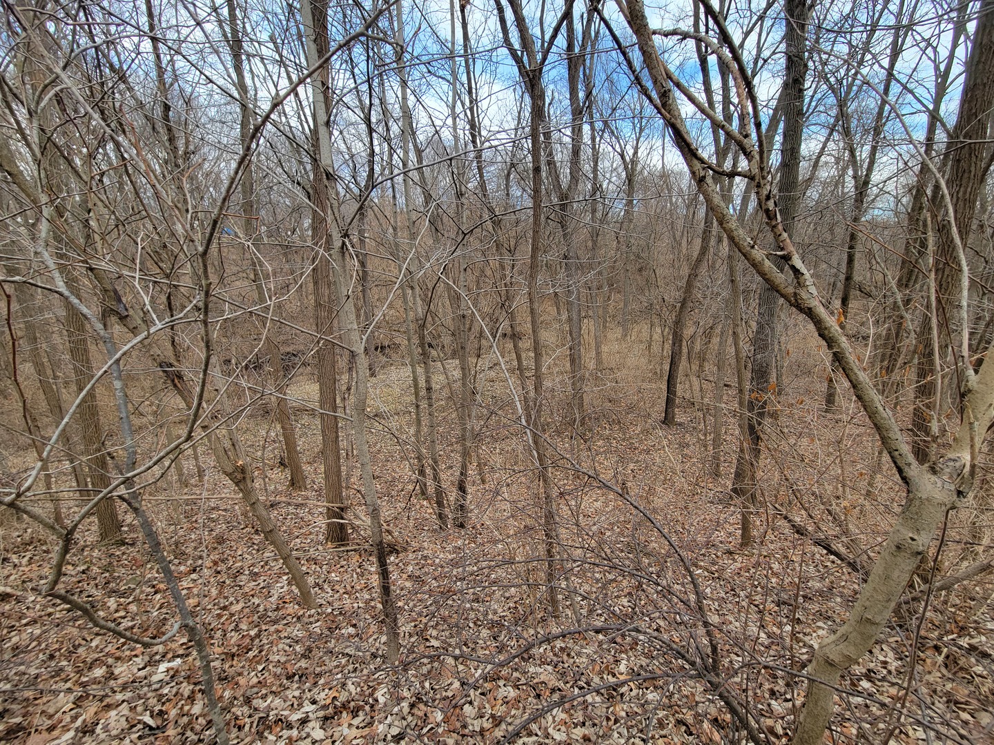 408 East 4th Street Spring Valley, IL 61362 - Photo 28 of 31