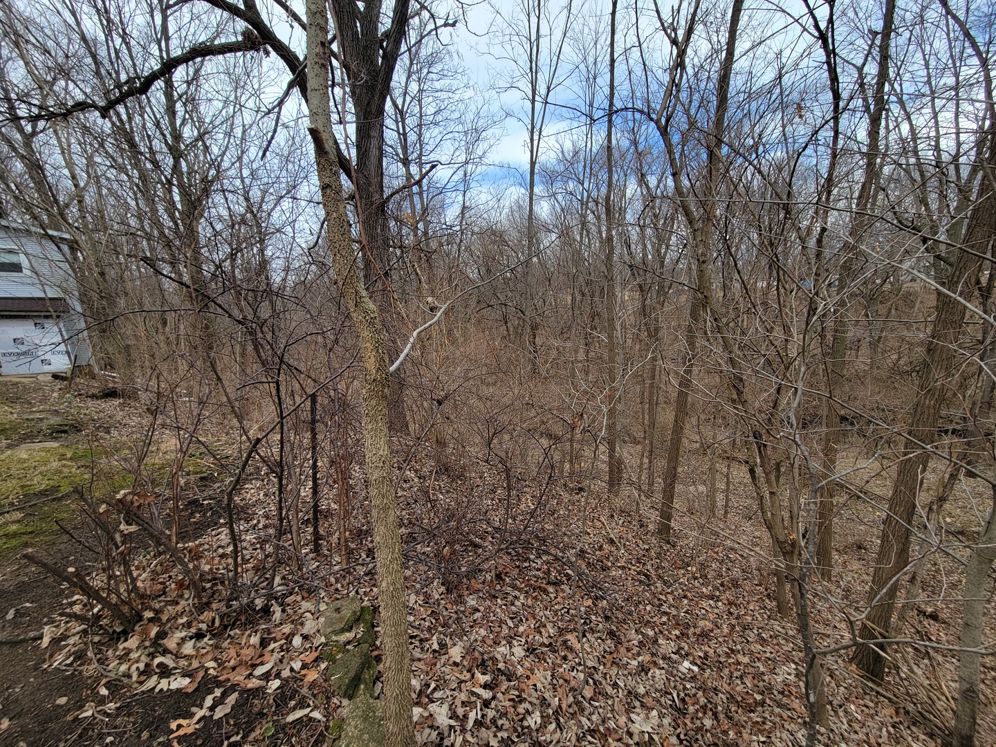 408 East 4th Street Spring Valley, IL 61362 - Photo 29 of 31