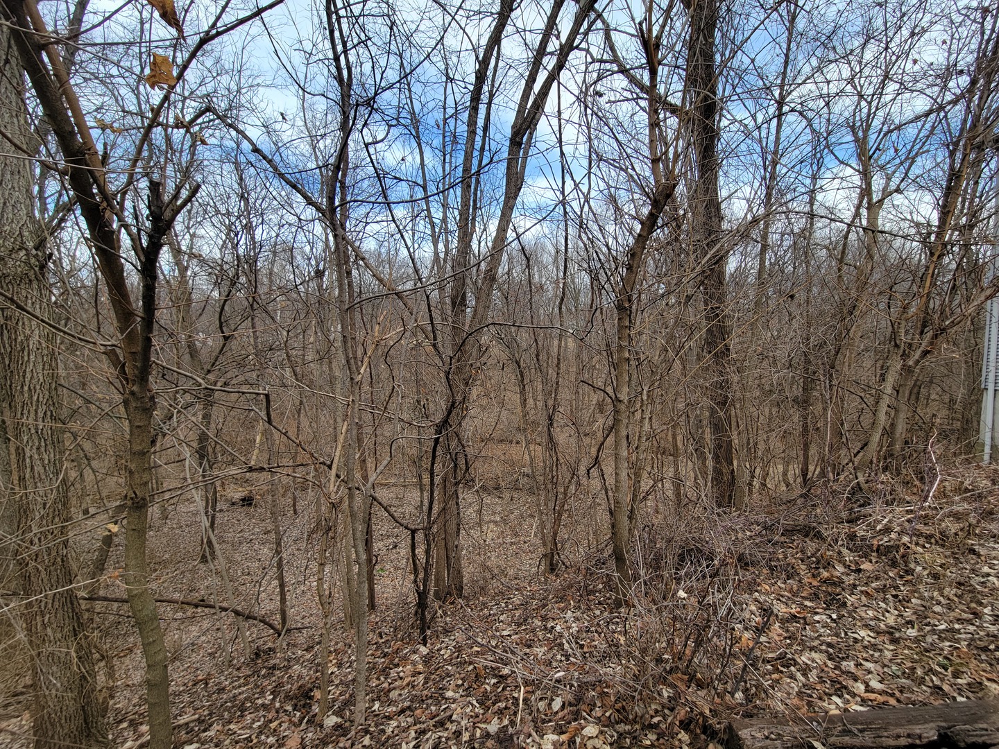 408 East 4th Street Spring Valley, IL 61362 - Photo 31 of 31