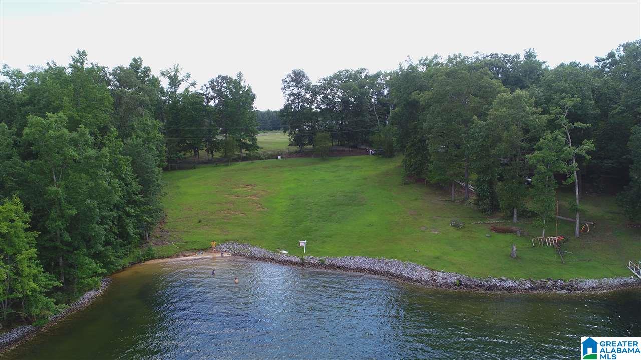 Longview Drive Jasper, AL 35504 - Photo 3 of 14
