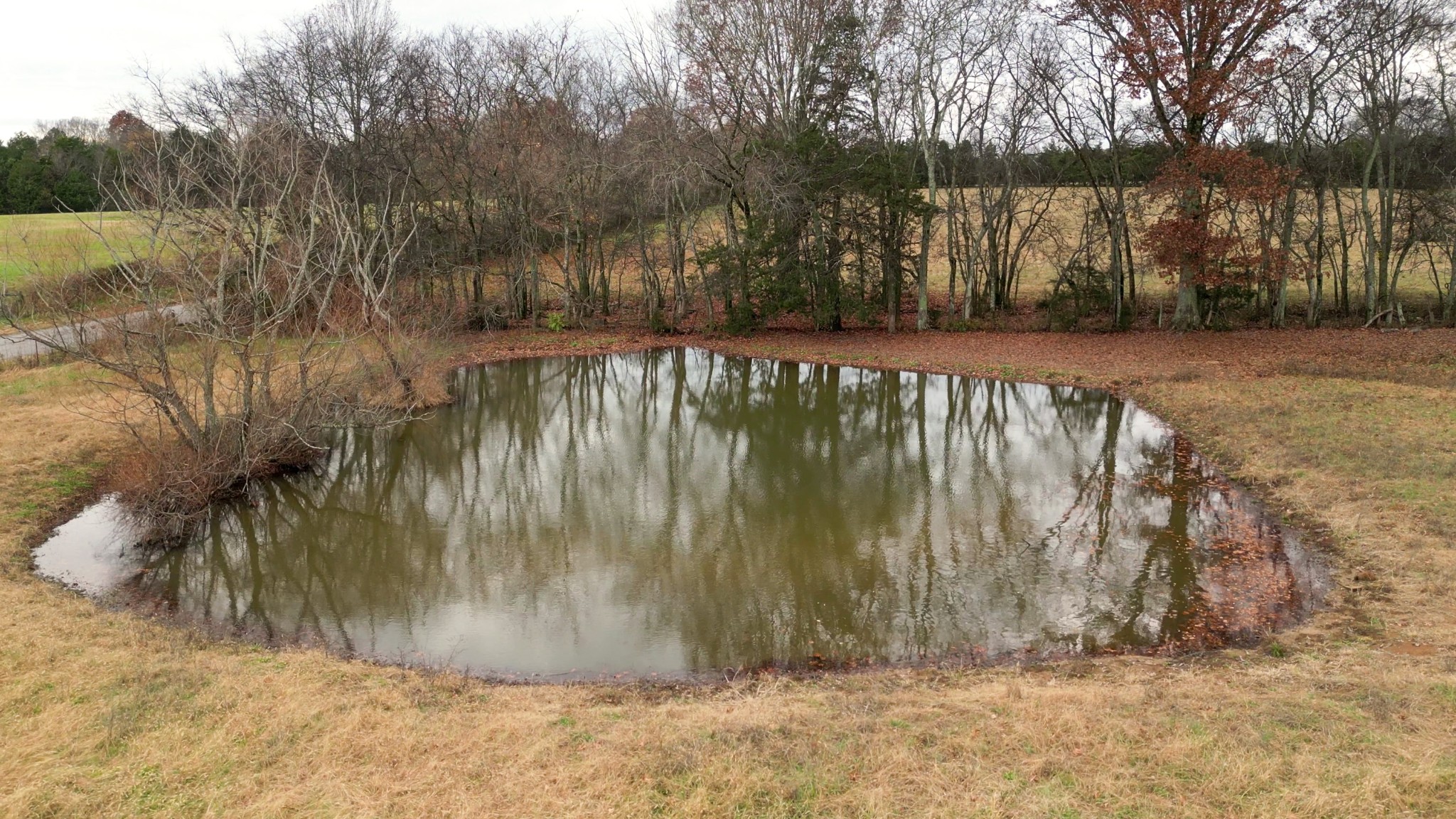 0 Farmer Road Eagleville, TN 37060 - Photo 23 of 35 a view of backyard with large tree and wooden fence