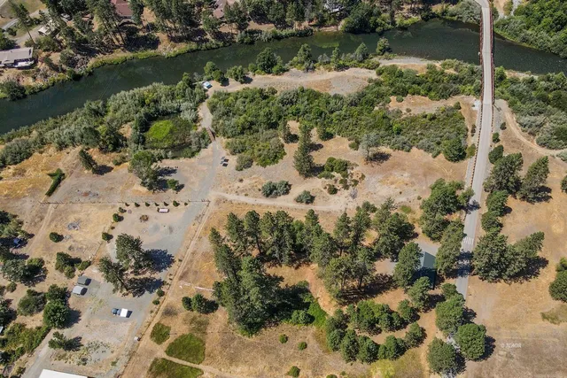 a view of a green yard with large trees