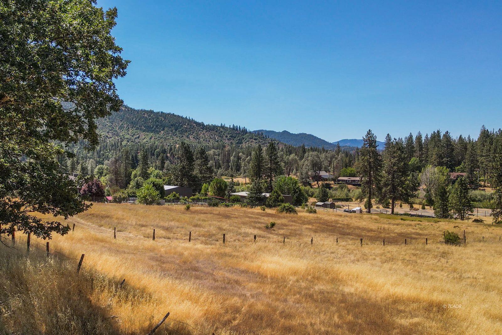 137 Salt Flat Road Lewiston, CA 96052 - Photo 2 of 26 a view of a backyard of a house