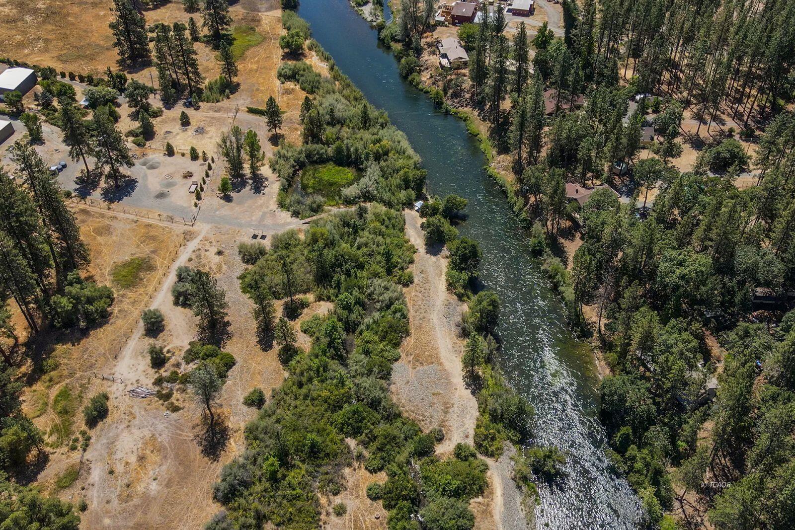 137 Salt Flat Road Lewiston, CA 96052 - Photo 21 of 26 a view of a forest with a tree