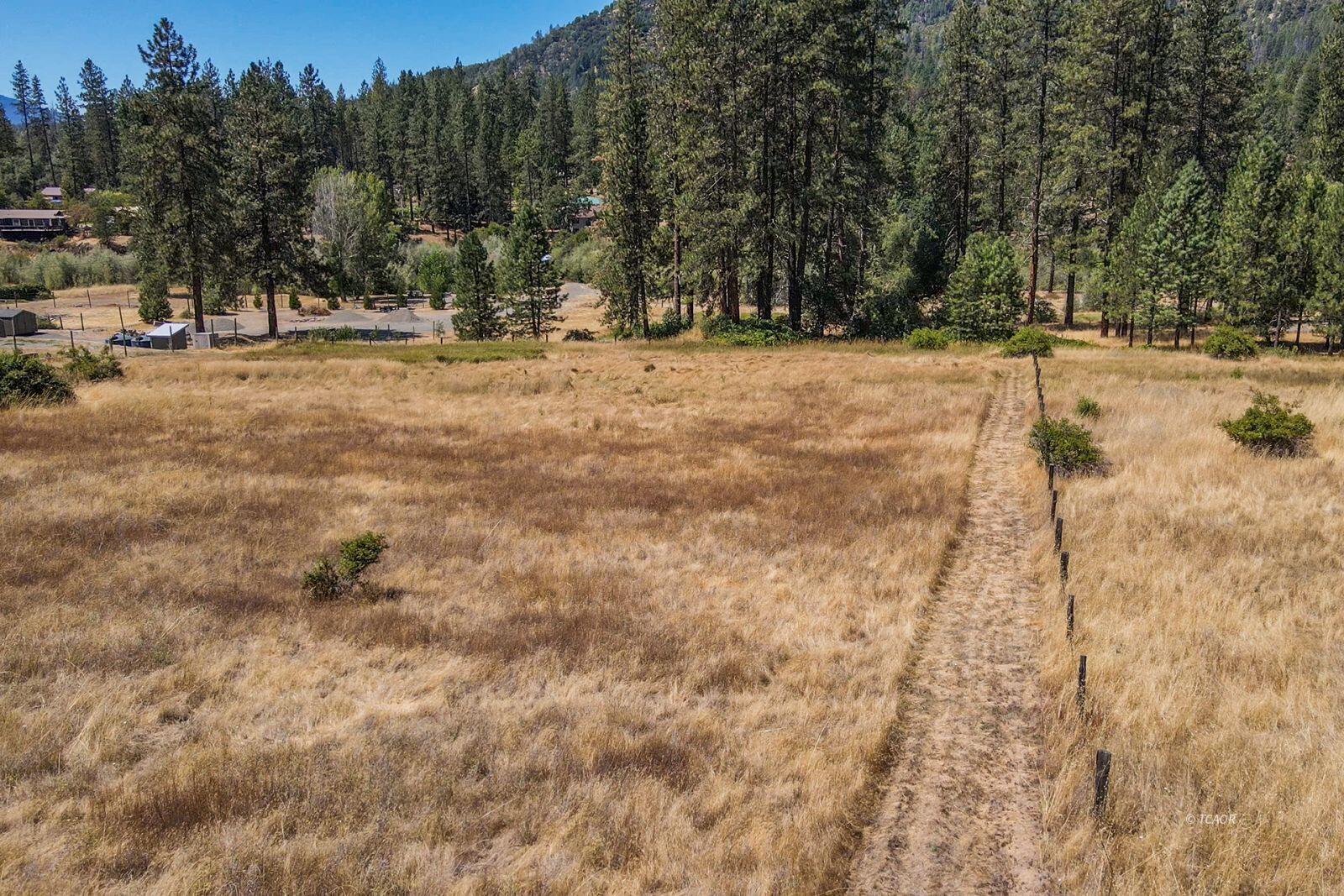 137 Salt Flat Road Lewiston, CA 96052 - Photo 4 of 26 a view of a yard with trees