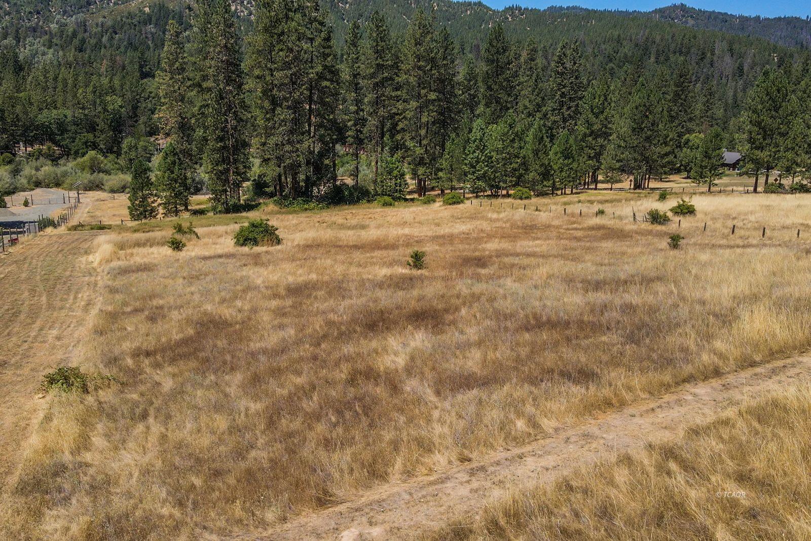 137 Salt Flat Road Lewiston, CA 96052 - Photo 5 of 26 a view of a yard with trees
