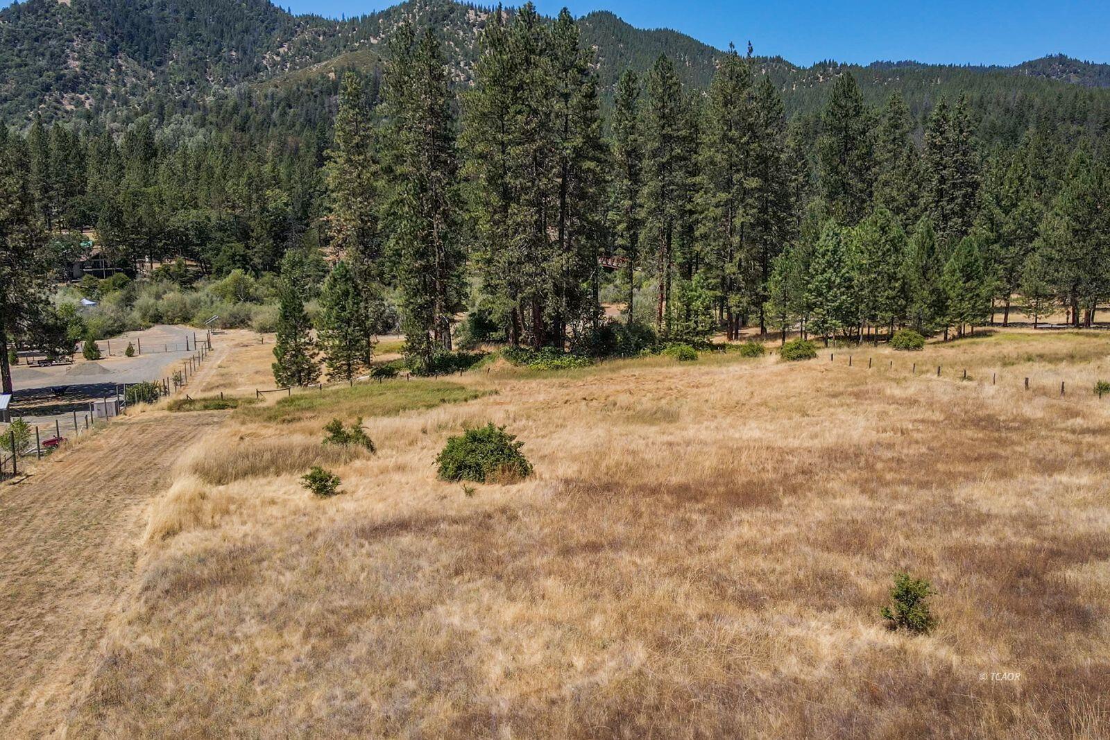 137 Salt Flat Road Lewiston, CA 96052 - Photo 6 of 26 a view of a yard with trees