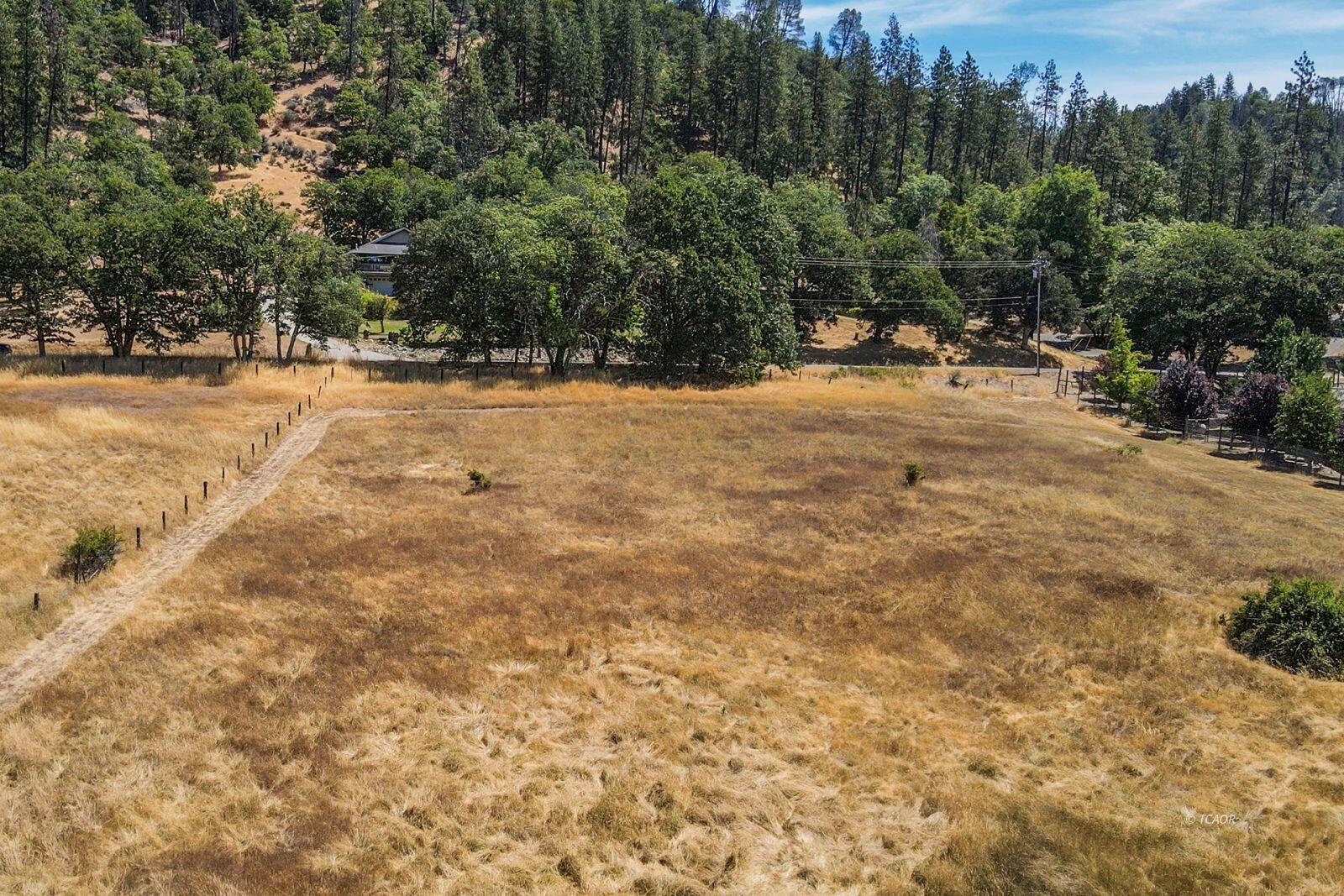 137 Salt Flat Road Lewiston, CA 96052 - Photo 8 of 26 a view of road with trees