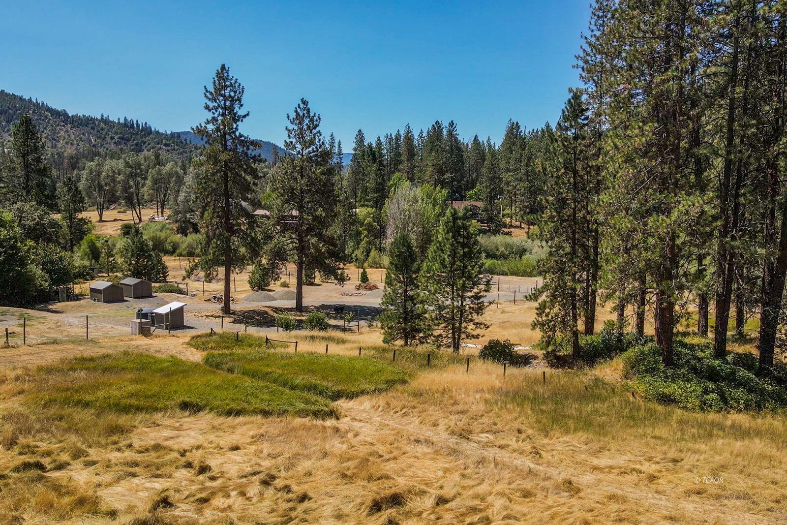 137 Salt Flat Road Lewiston, CA 96052 - Photo 10 of 26 a view of a yard with swimming pool