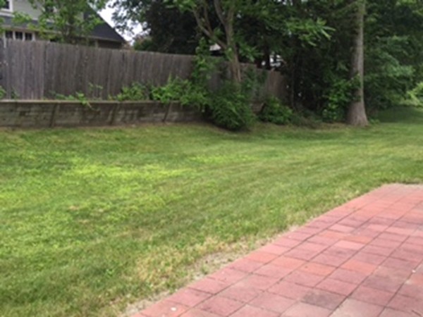 37 Lynebrook Road Springfield, MA 01118 - Photo 24 of 25 Gallery Image 24