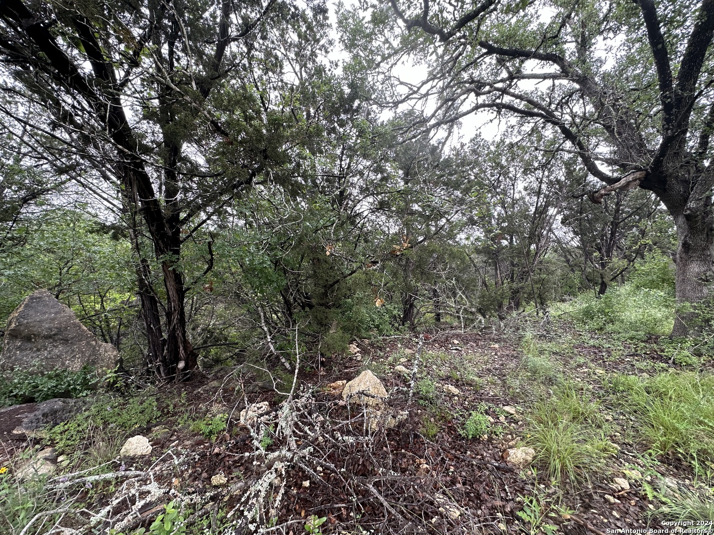 Tbd Stagecoach Trail Spring Branch, TX 78070 - Photo 11 of 12 a view of a forest with trees in the background