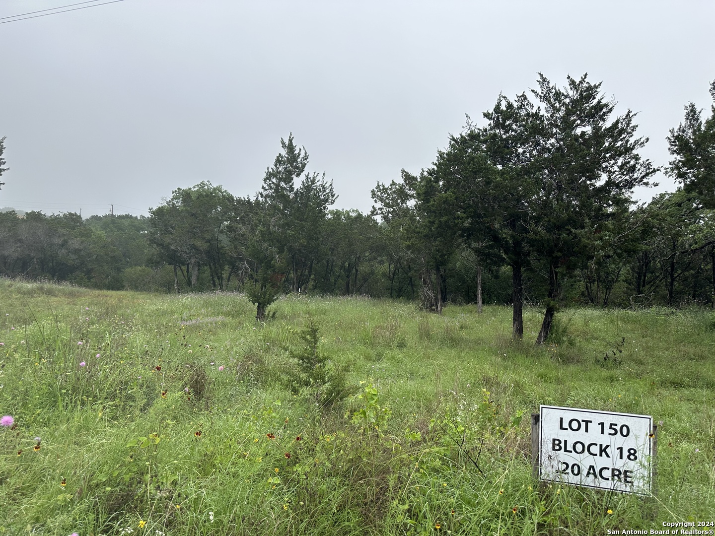 Tbd Stagecoach Trail Spring Branch, TX 78070 - Photo 2 of 12 a view of a lush green forest