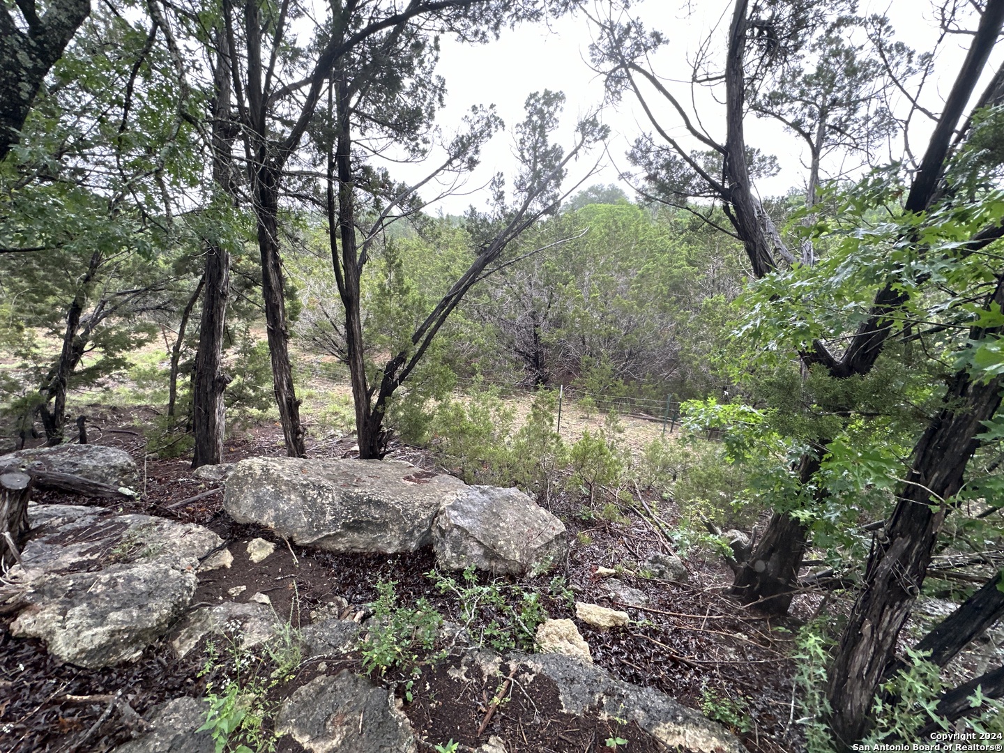 Tbd Stagecoach Trail Spring Branch, TX 78070 - Photo 6 of 12 a view of backyard with green space
