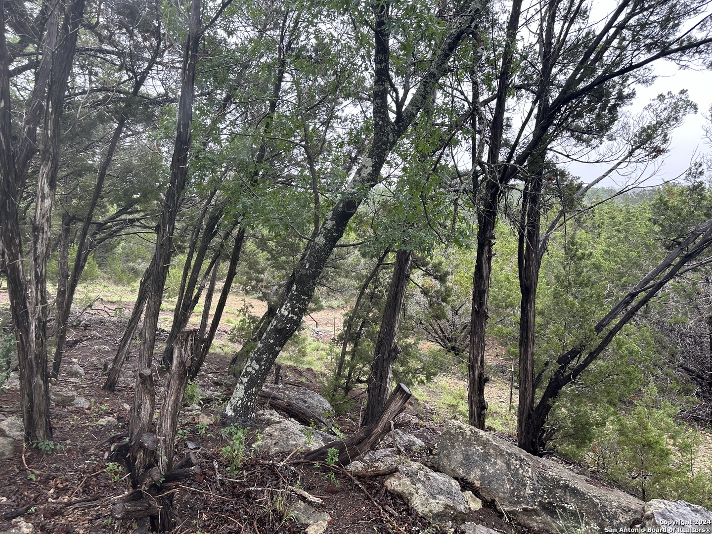 Tbd Stagecoach Trail Spring Branch, TX 78070 - Photo 8 of 12 a view of forest