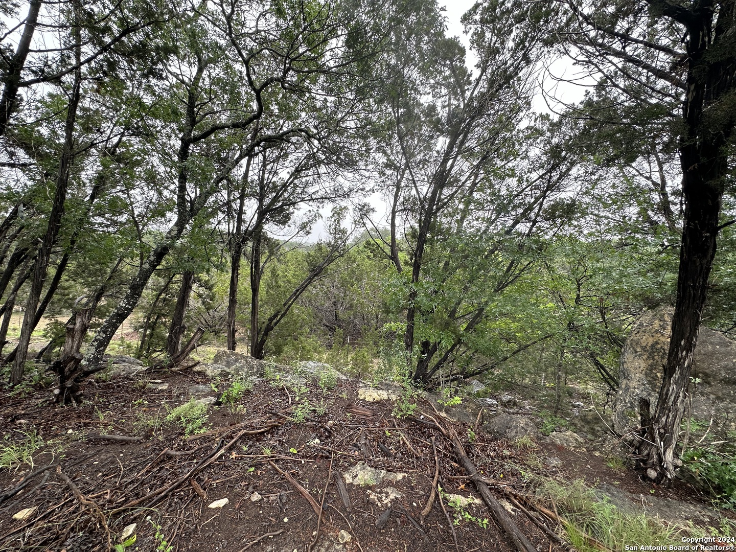 Tbd Stagecoach Trail Spring Branch, TX 78070 - Photo 9 of 12 a view of a forest filled with trees