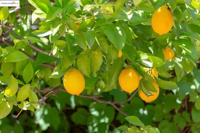 $1,698,000 | 151 La Espiral, Orinda, CA 94563