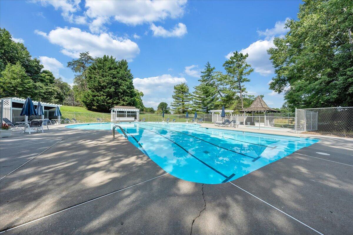 850 Gangplank Road, Unit 317 Moneta, VA 24121 - Photo 54 of 96 054-10-MIB00534