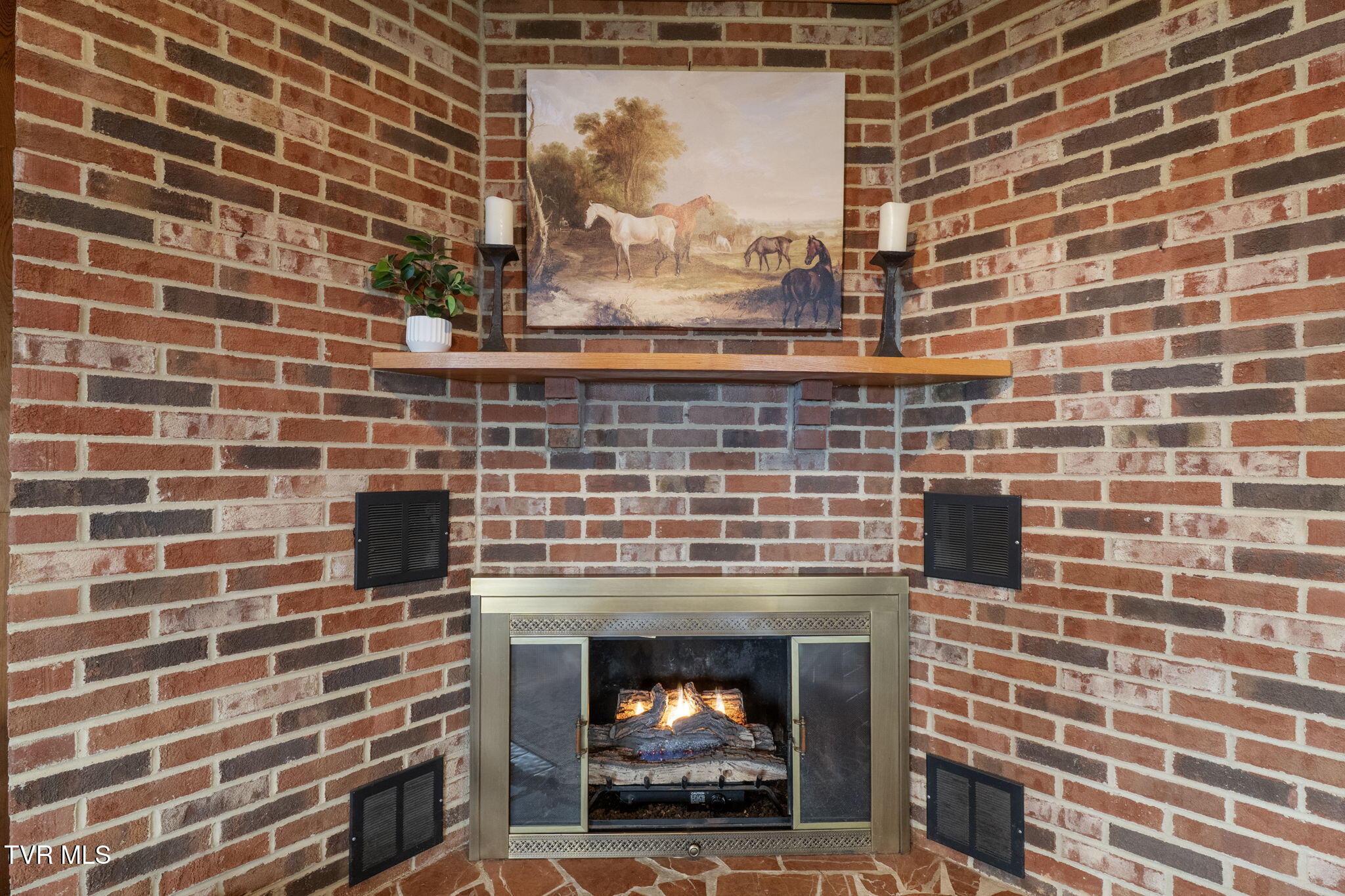 29525 Smyth Chapel Road Meadowview, VA 24361 - Photo 38 of 90 48-web-or-mls-29525-smyth-chapel-rd