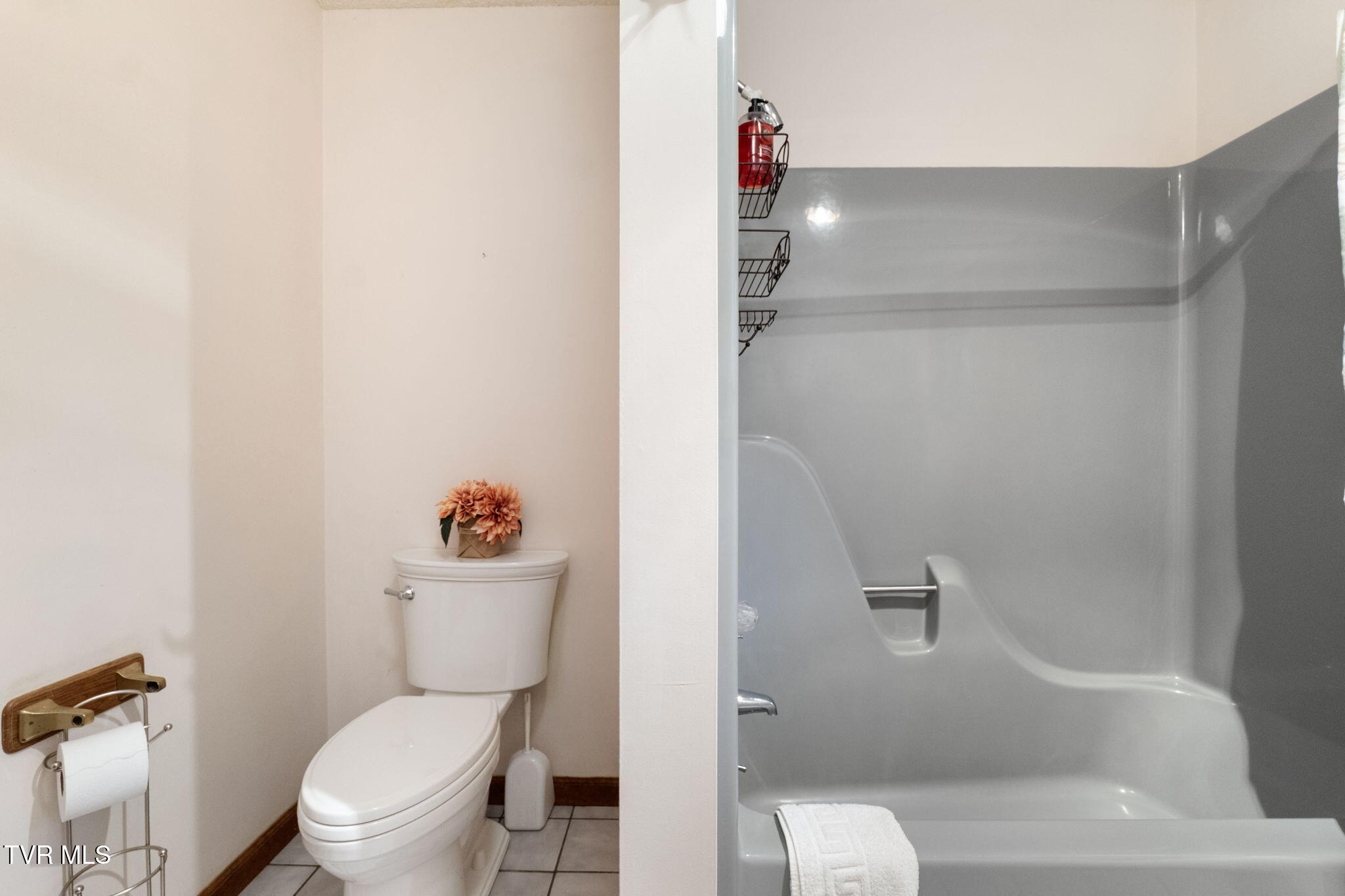 29525 Smyth Chapel Road Meadowview, VA 24361 - Photo 74 of 90 89-web-or-mls-29525-smyth-chapel-rd