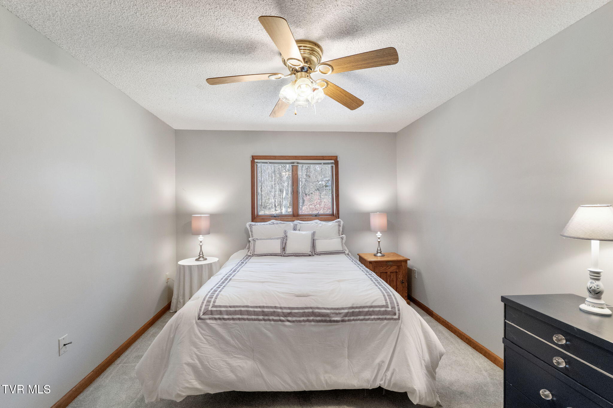 29525 Smyth Chapel Road Meadowview, VA 24361 - Photo 78 of 90 78-web-or-mls-29525-smyth-chapel-rd