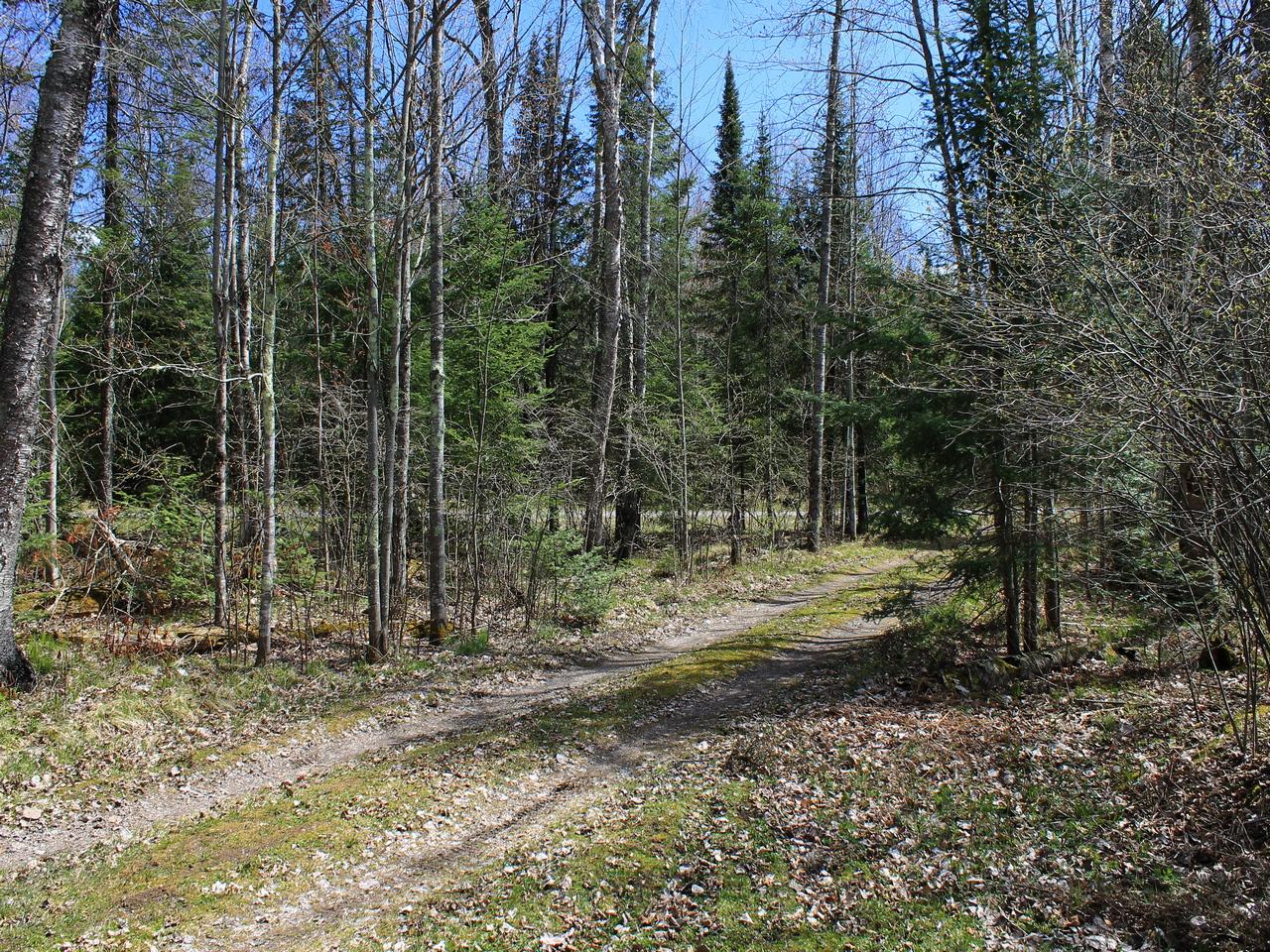 4676 Little Pike Road Mercer, WI 54547 - Photo 23 of 24 Gallery Image 23