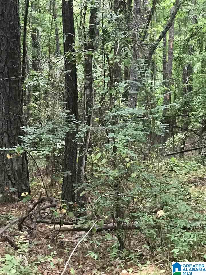 South Lakeside Lane, Unit 20 Alpine, AL 35014 - Photo 1 of 1