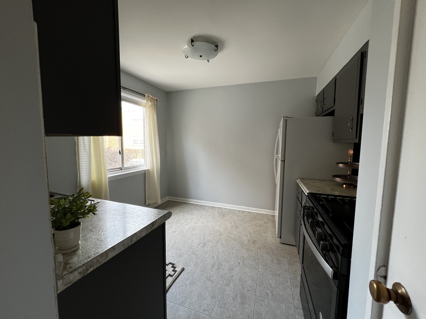 8653 Niles Center Road, Unit D Skokie, IL 60077 - Photo 3 of 8 a kitchen with a refrigerator and a sink
